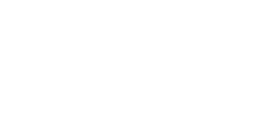 The Network Gurus